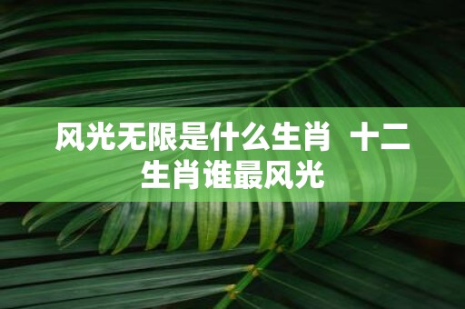 风光无限是什么生肖 十二生肖谁最风光