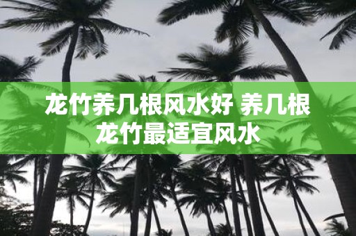 龙竹养几根风水好 养几根龙竹最适宜风水