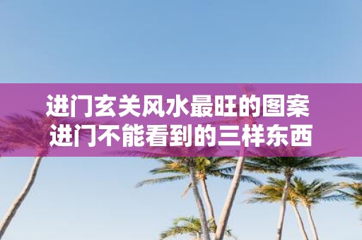 进门玄关风水最旺的图案 进门不能看到的三样东西