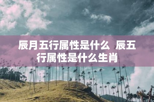 辰月五行属性是什么 辰五行属性是什么生肖