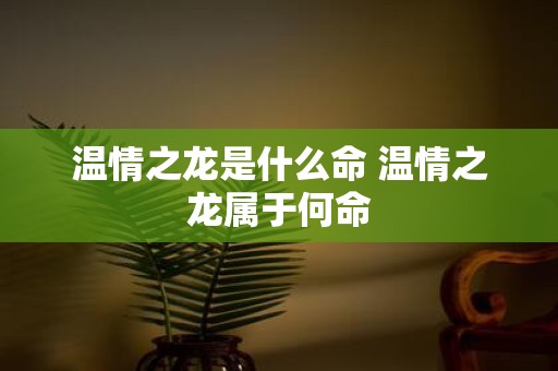 温情之龙是什么命 温情之龙属于何命