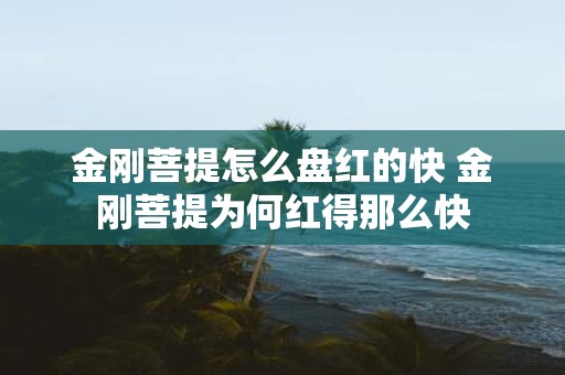 金刚菩提怎么盘红的快 金刚菩提为何红得那么快