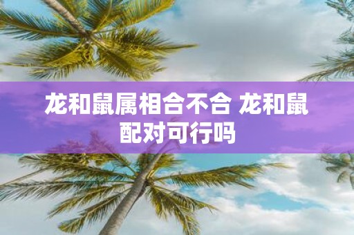 龙和鼠属相合不合 龙和鼠配对可行吗