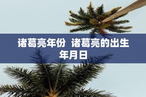 诸葛亮年份 诸葛亮的出生年月日