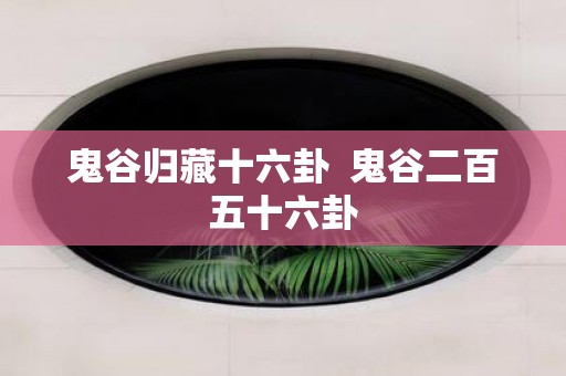 鬼谷归藏十六卦 鬼谷二百五十六卦