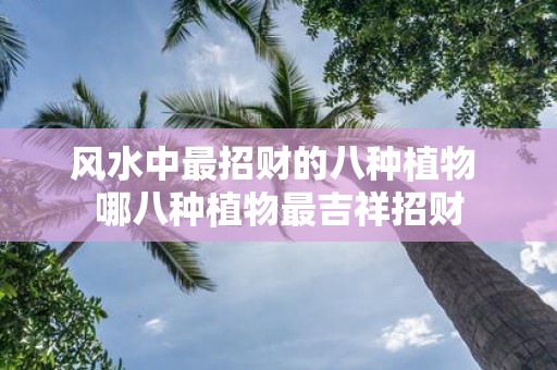 风水中最招财的八种植物 哪八种植物最吉祥招财