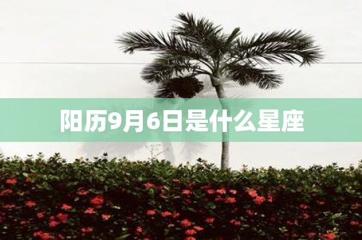 阳历9月6日是什么星座