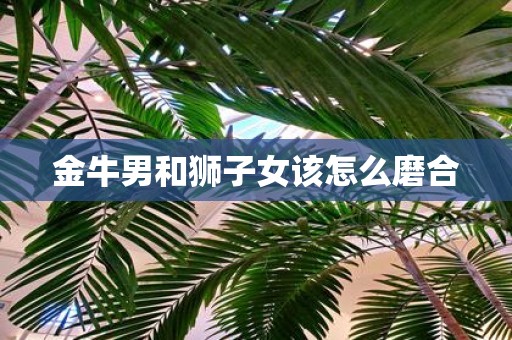 金牛男和狮子女该怎么磨合