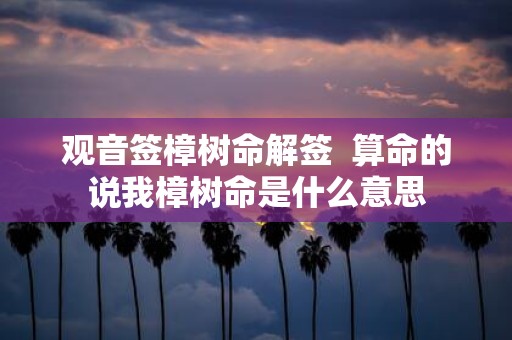 观音签樟树命解签 算命的说我樟树命是什么意思