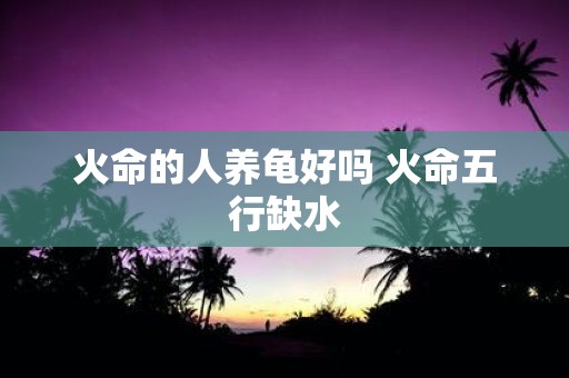 火命的人养龟好吗 火命五行缺水