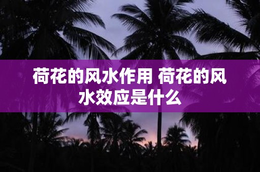荷花的风水作用 荷花的风水效应是什么