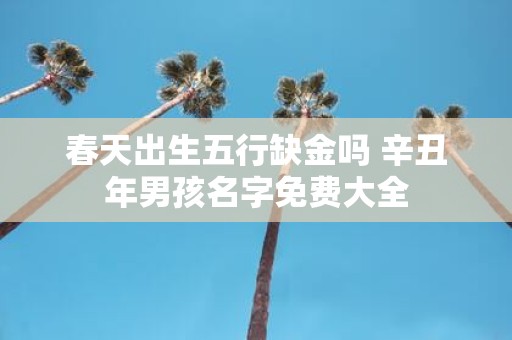 春天出生五行缺金吗 辛丑年男孩名字免费大全
