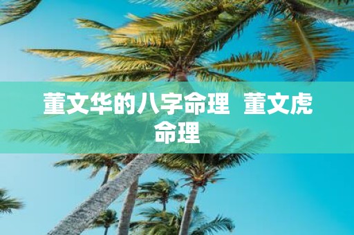 董文华的八字命理 董文虎命理