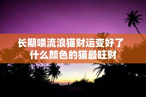 长期喂流浪猫财运变好了 什么颜色的猫最旺财
