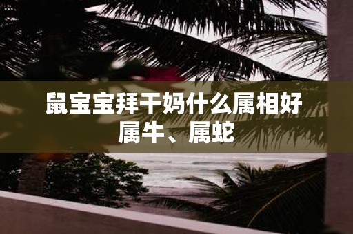 鼠宝宝拜干妈什么属相好 属牛、属蛇