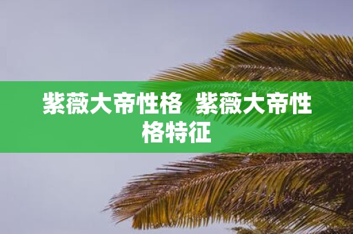 紫薇大帝性格 紫薇大帝性格特征