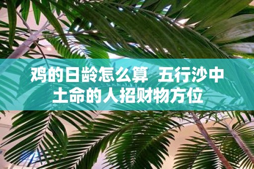 鸡的日龄怎么算 五行沙中土命的人招财物方位