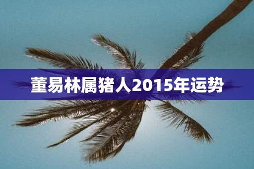 董易林属猪人2015年运势