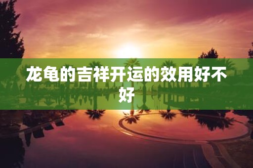 龙龟的吉祥开运的效用好不好