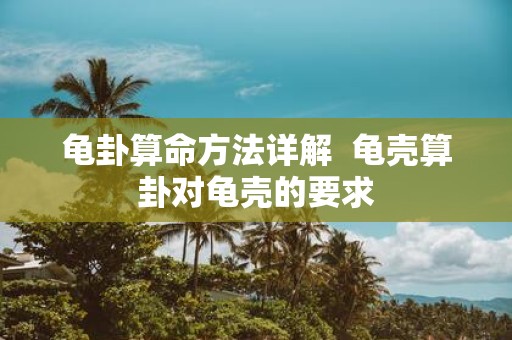 龟卦算命方法详解 龟壳算卦对龟壳的要求
