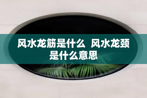 风水龙筋是什么 风水龙颈是什么意思