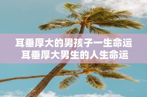 耳垂厚大的男孩子一生命运 耳垂厚大男生的人生命运