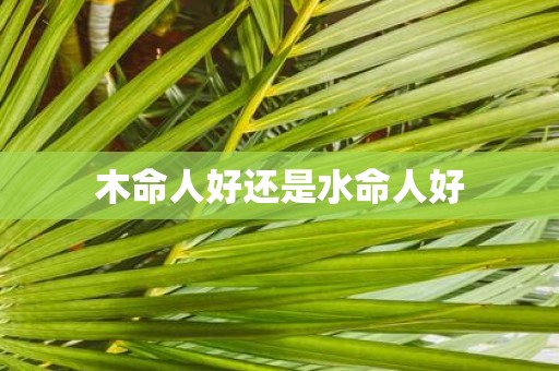 木命人好还是水命人好