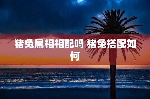 猪兔属相相配吗 猪兔搭配如何