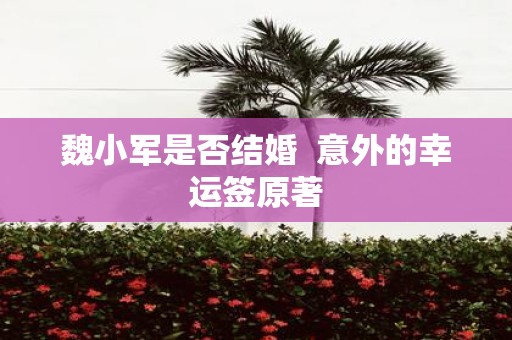 魏小军是否结婚  意外的幸运签原著
