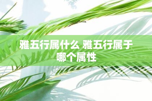雅五行属什么 雅五行属于哪个属性