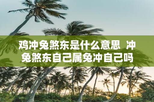 鸡冲兔煞东是什么意思 冲兔煞东自己属兔冲自己吗