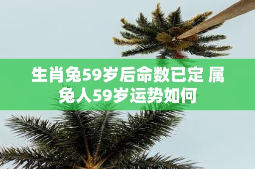 生肖兔59岁后命数已定 属兔人59岁运势如何