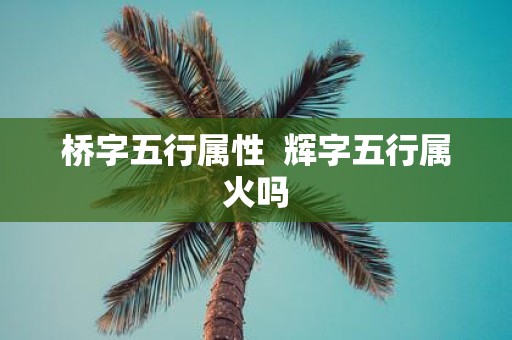 桥字五行属性 辉字五行属火吗