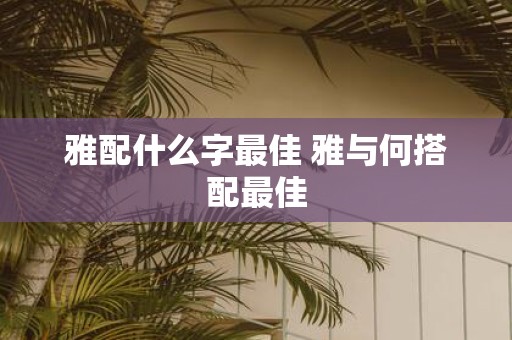 雅配什么字最佳 雅与何搭配最佳