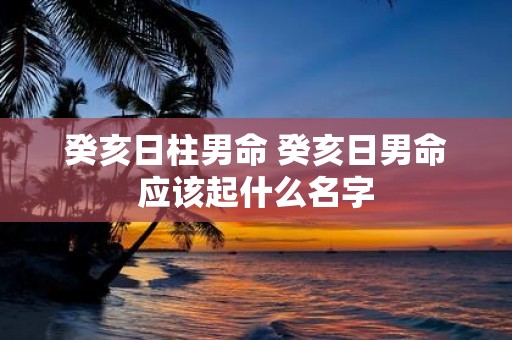 癸亥日柱男命 癸亥日男命应该起什么名字