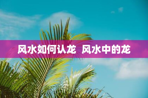 风水如何认龙 风水中的龙