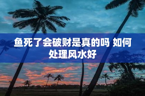 鱼死了会破财是真的吗 如何处理风水好