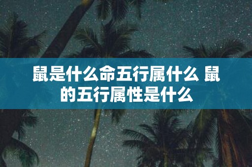 鼠是什么命五行属什么 鼠的五行属性是什么