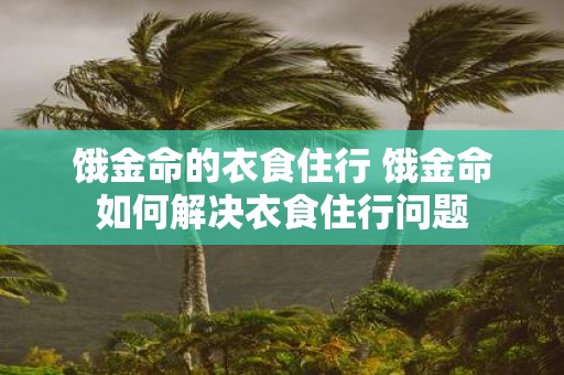 饿金命的衣食住行 饿金命如何解决衣食住行问题