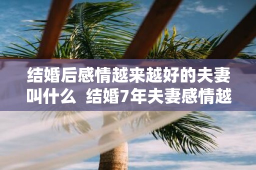 结婚后感情越来越好的夫妻叫什么 结婚7年夫妻感情越来越好