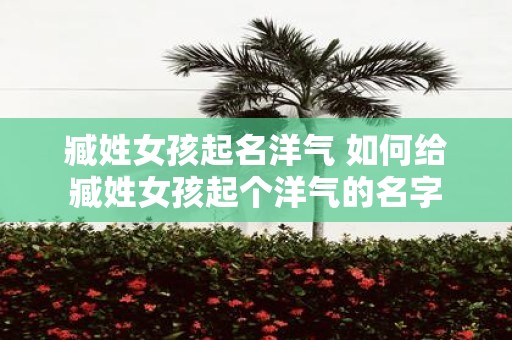 臧姓女孩起名洋气 如何给臧姓女孩起个洋气的名字