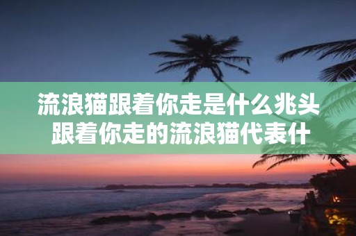 流浪猫跟着你走是什么兆头 跟着你走的流浪猫代表什么