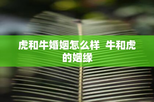 虎和牛婚姻怎么样 牛和虎的姻缘