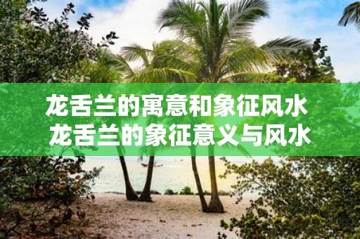 龙舌兰的寓意和象征风水 龙舌兰的象征意义与风水