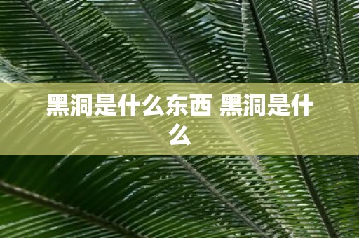 黑洞是什么东西 黑洞是什么
