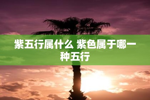 紫五行属什么 紫色属于哪一种五行