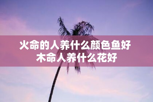 火命的人养什么颜色鱼好 木命人养什么花好
