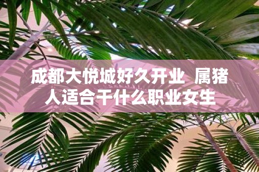 成都大悦城好久开业 属猪人适合干什么职业女生