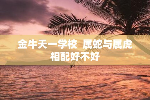 金牛天一学校 属蛇与属虎相配好不好