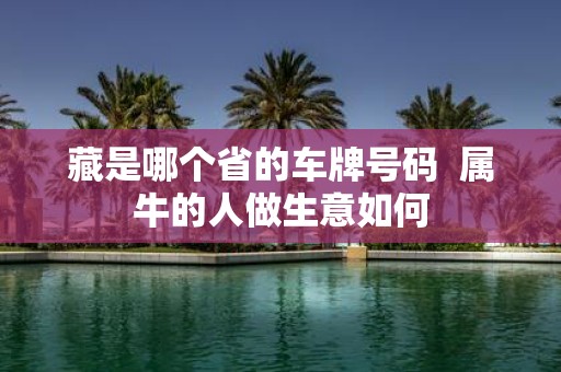 藏是哪个省的车牌号码 属牛的人做生意如何